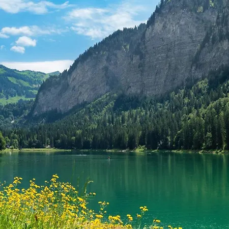 Valdez Lägenhet Morzine